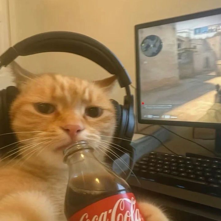 meyeowoqolpizyvi7