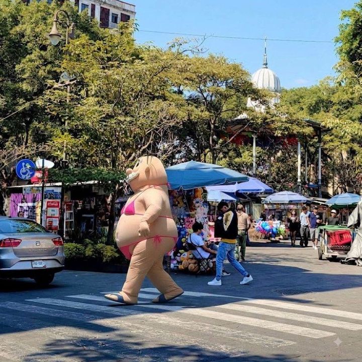 romroarlet