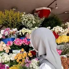 اينتان لستري
