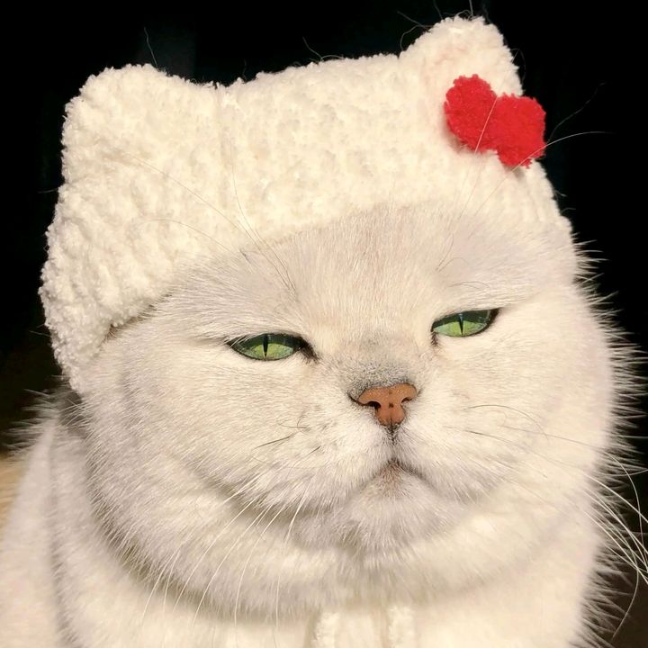 laurajgdxy7