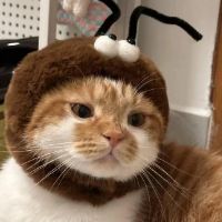 miyu_bb
