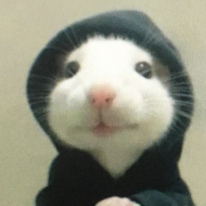 shizhrnxlip