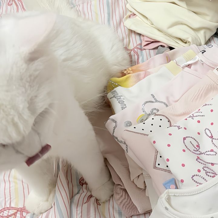 ขายอะไรดี