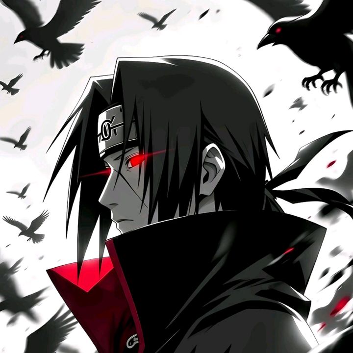 (shanks)shop
