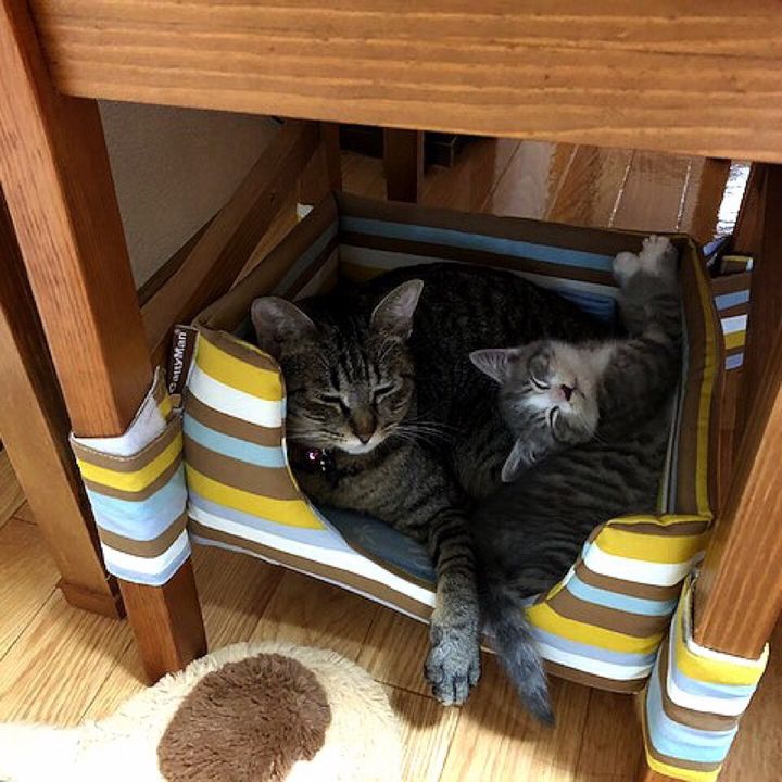 にゃんLOVE