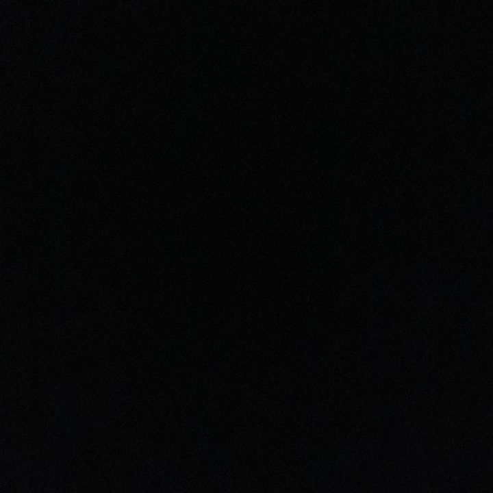 🕷️