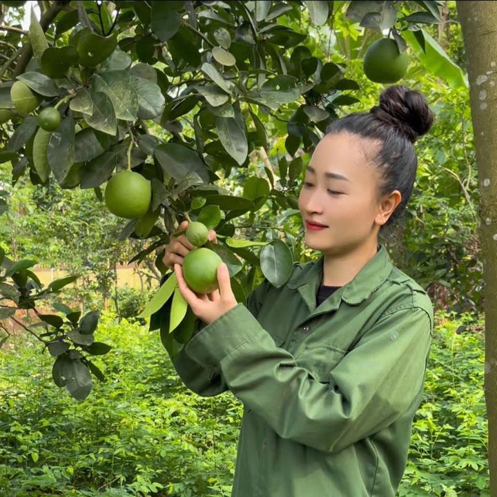 CÔ LIỄU Ở RỪNG