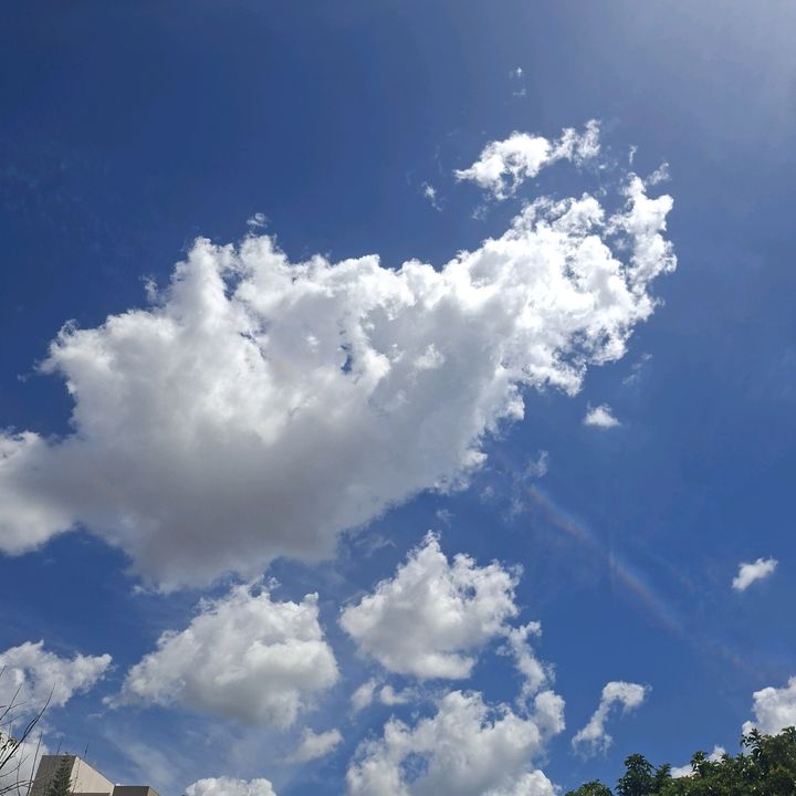 Alex_García