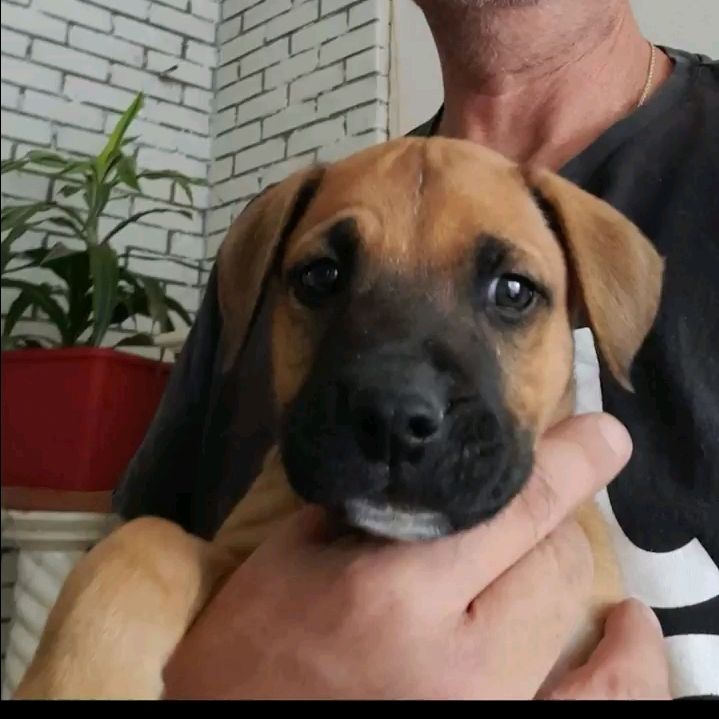Al et Thor