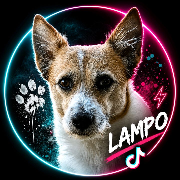 ✨️lampo_bellavita✨️