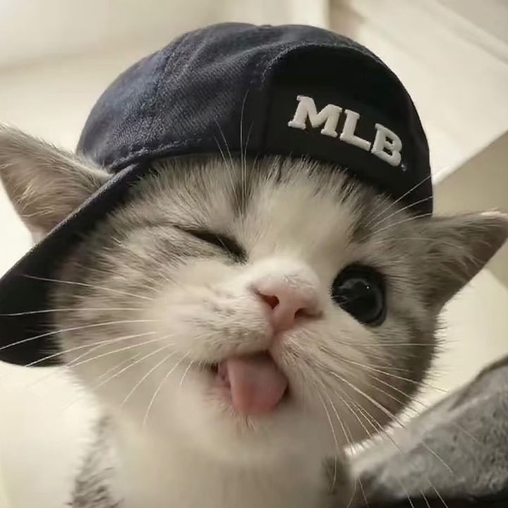 HH