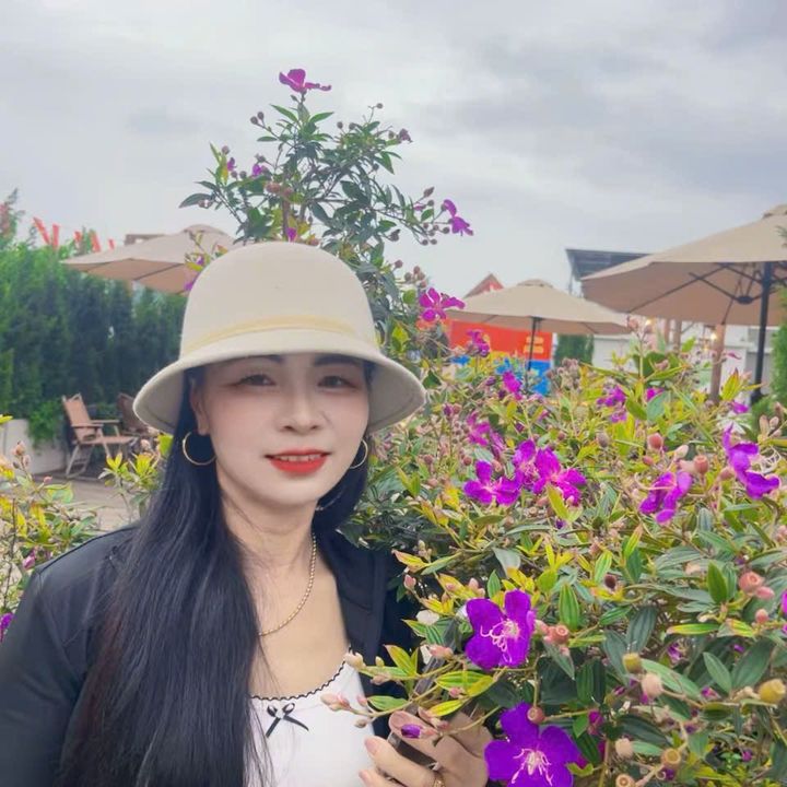 @Dinh hằng 73