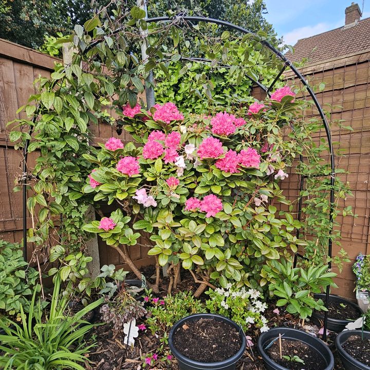 FAMgardeners