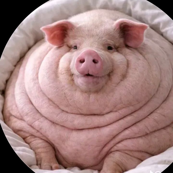 believefarm
