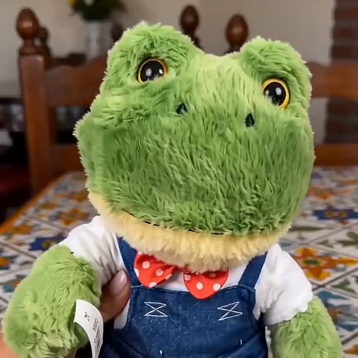 qolrnofz1zg