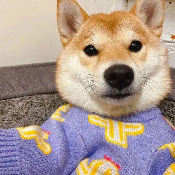 ilovevox80