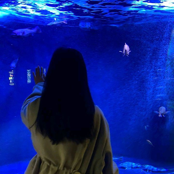 イイテッ