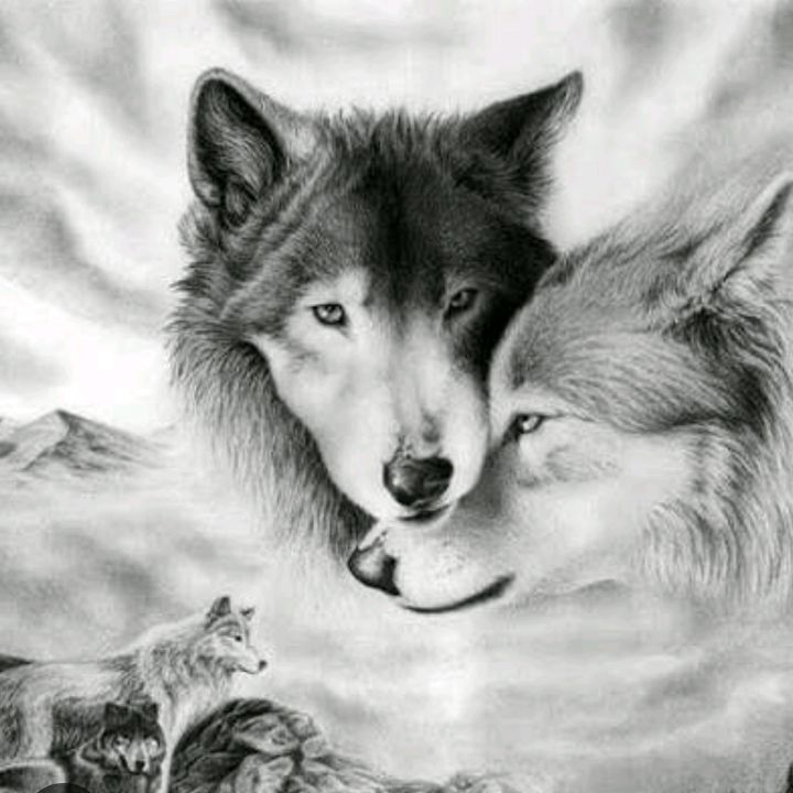 ☆karawan☆