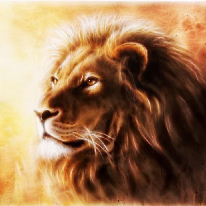 Mentalidad modo bestia🦁