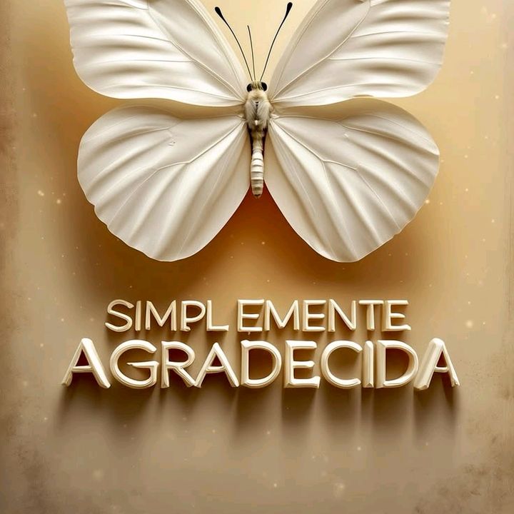 IME CREADOR DE CONTENIDO UGC