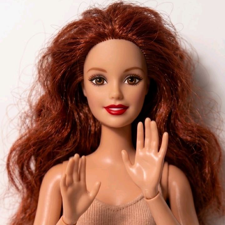Barbi Norteña