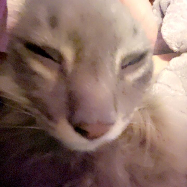 mimi🦋
