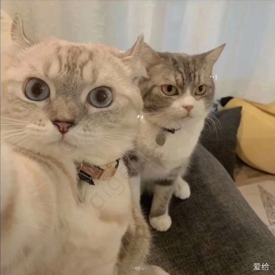 Azul.2HLjl