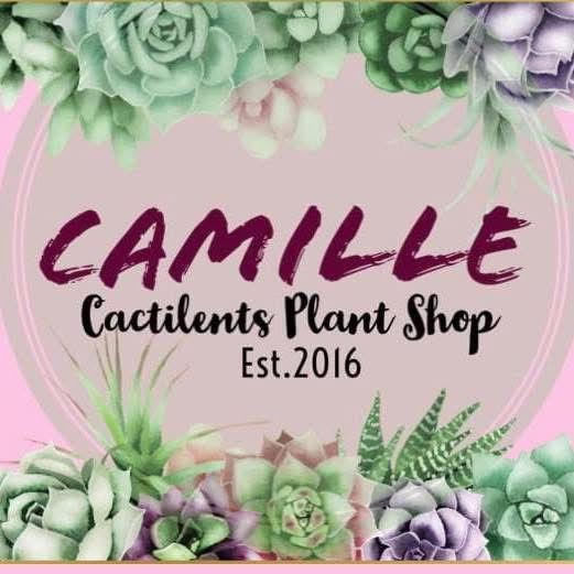 CAMILLES CACTILENTS PLANTSHOP
