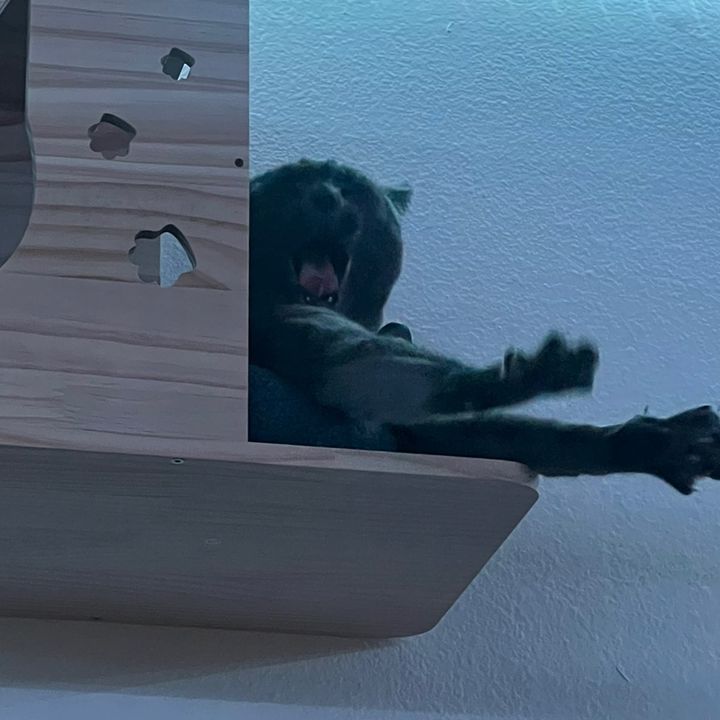 CJ