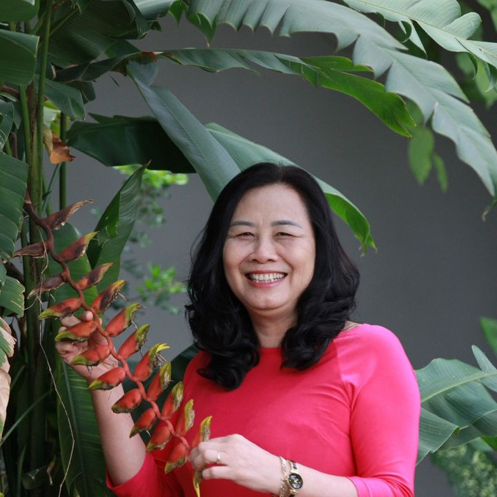 Hường86