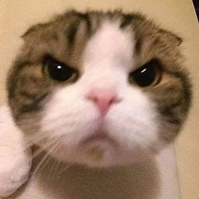 キラ