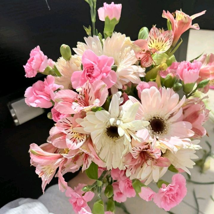 🌷ℝ𝕠𝕔𝕚𝕠🌸