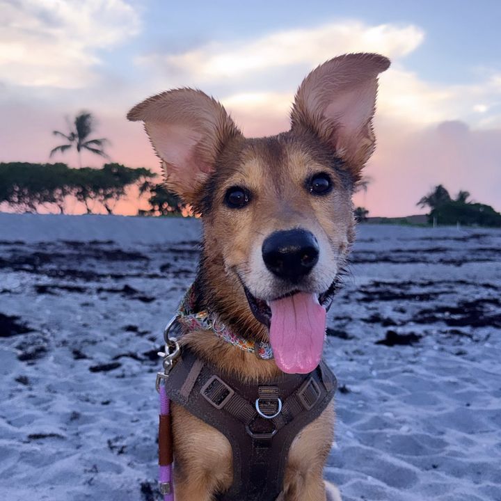 margo mae🐶