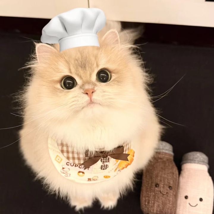 NubeGato