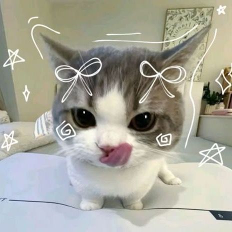 naily