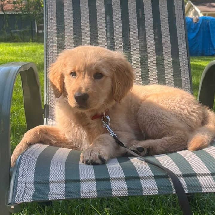Oakley