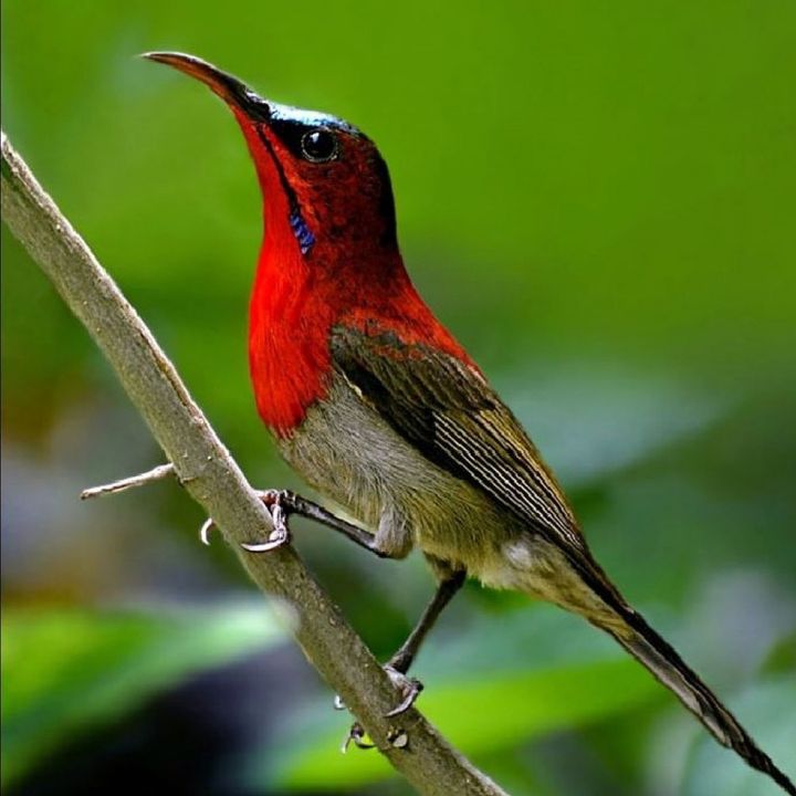 Xả Kho Nghỉ Bán