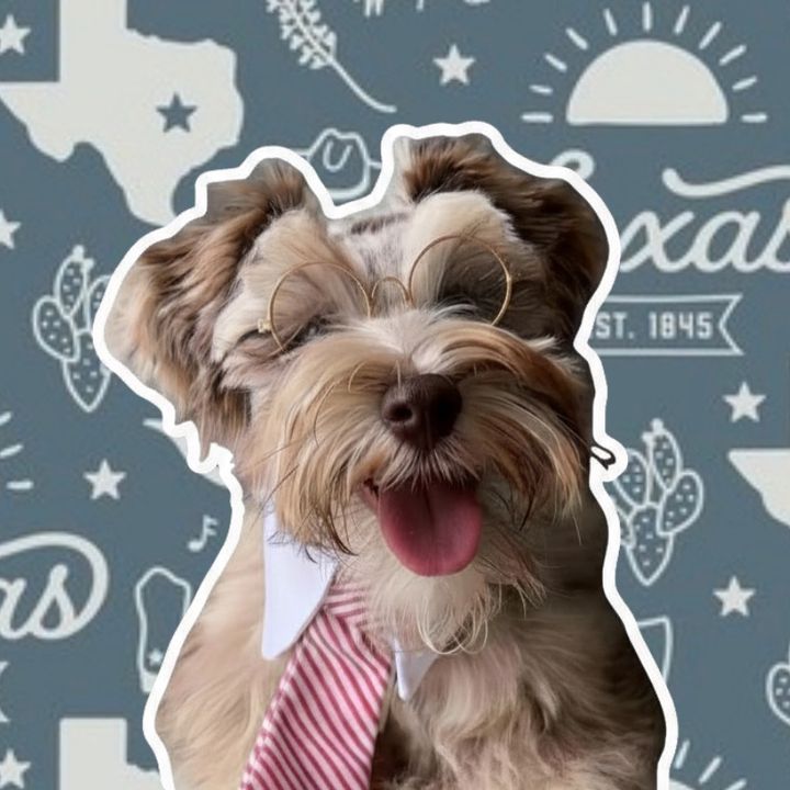 dogmomdeals