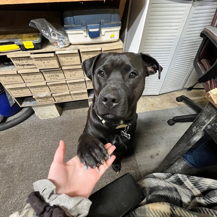 Melina.Marie🐾