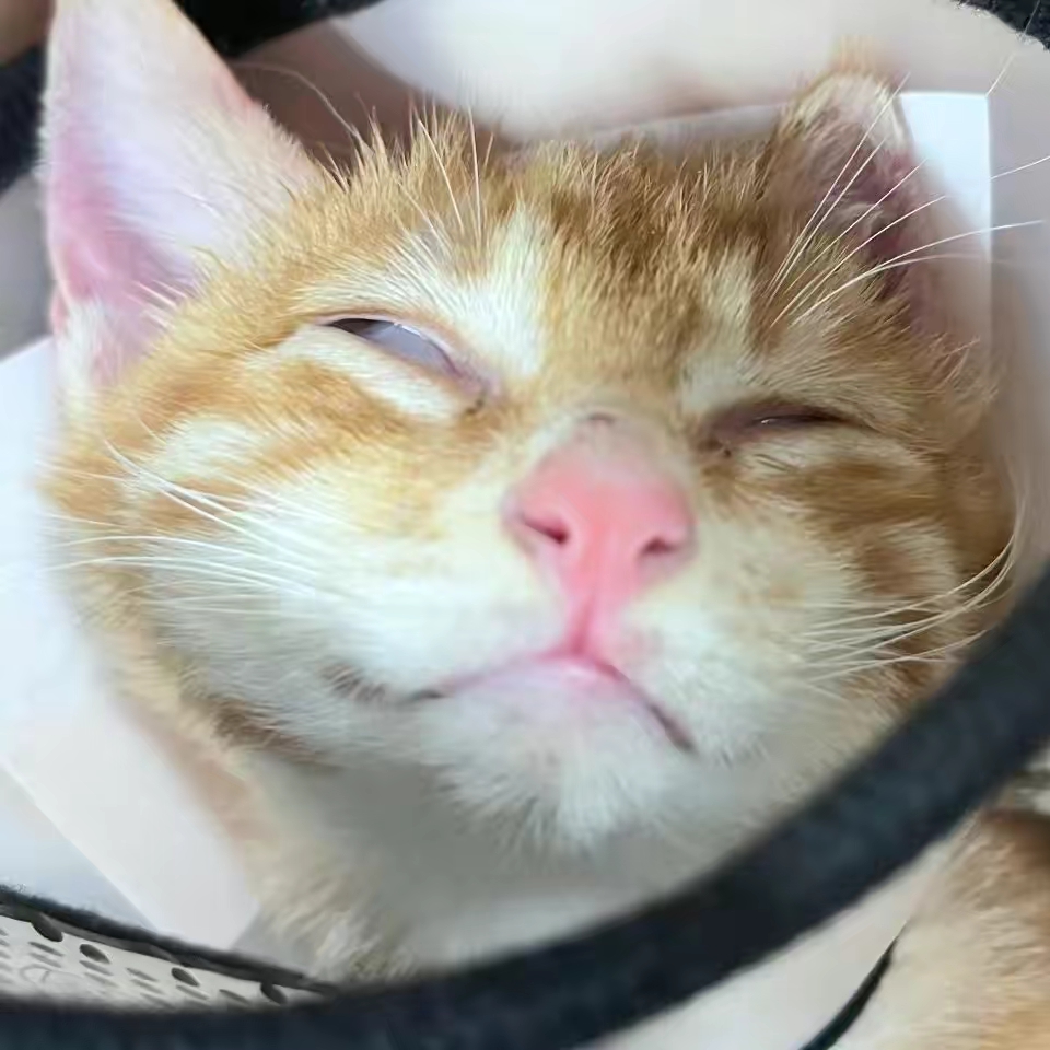 Out3fitTren0d👒Soft