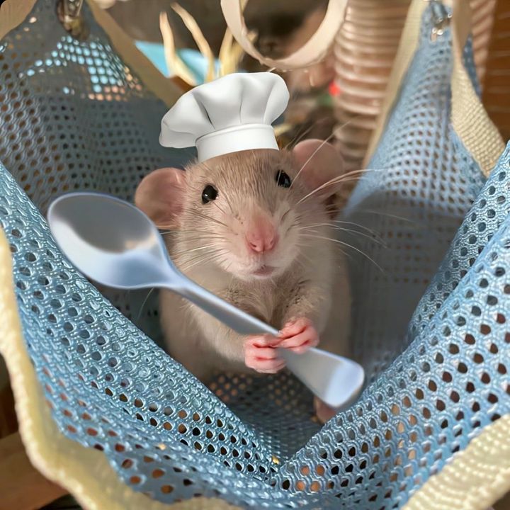 Sakicooks