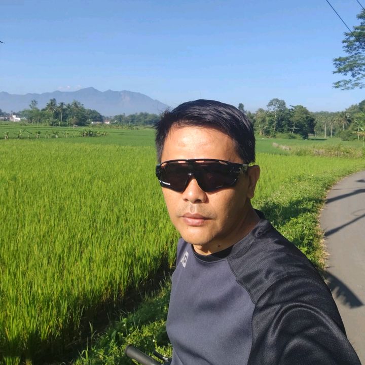 edi_spalspil