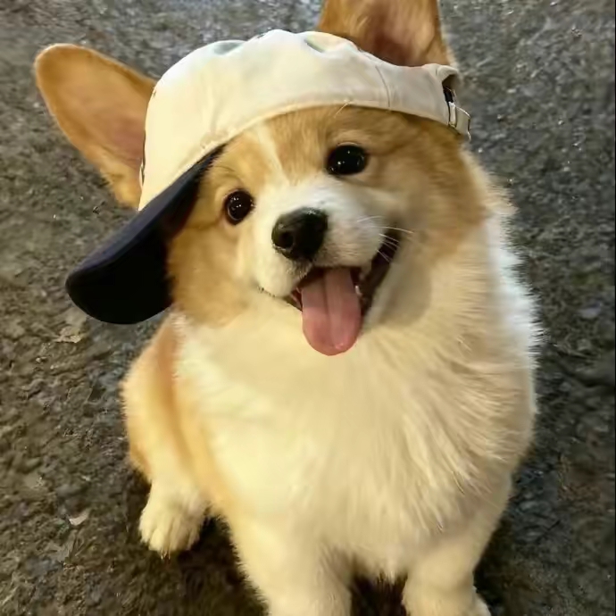 Jez