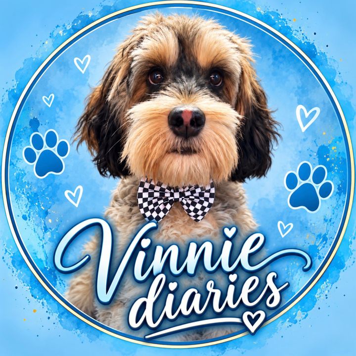Vinnie🩵