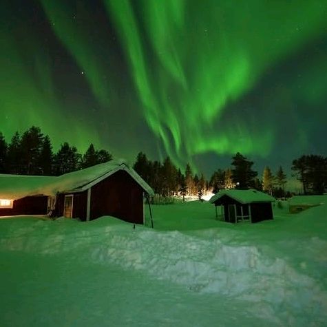 Aurora💫
