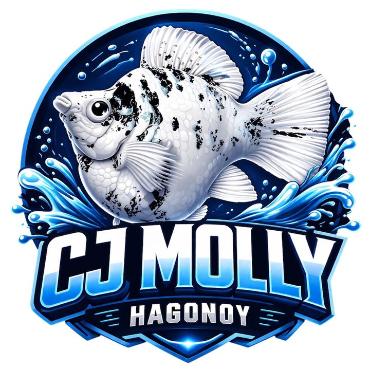 Cj Molly