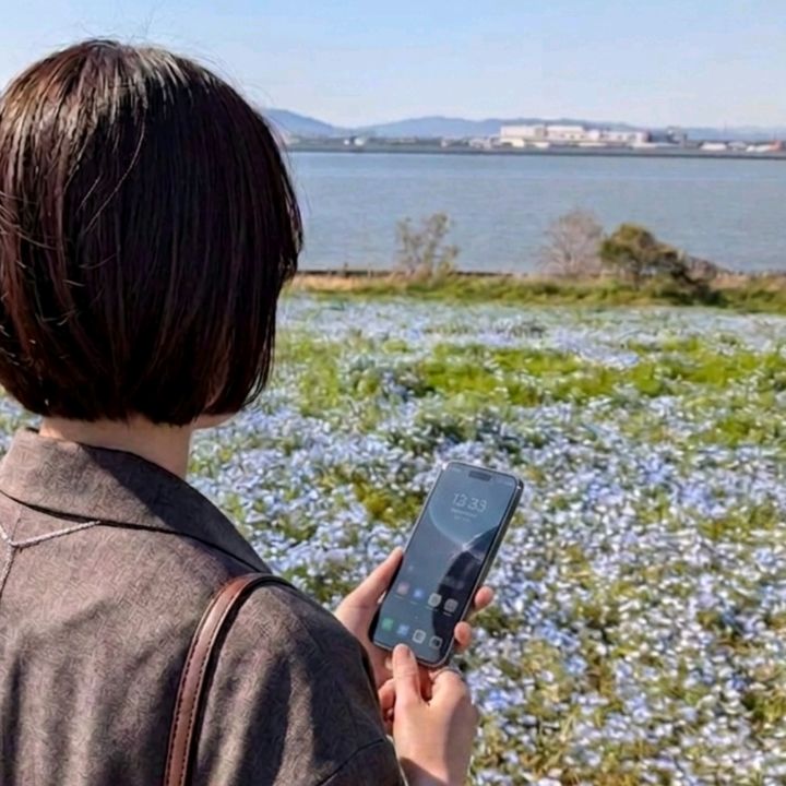 のんびりOLの暮らし