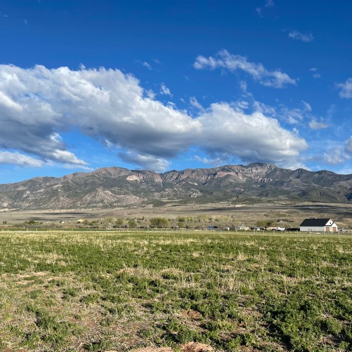 HomesteadJourney