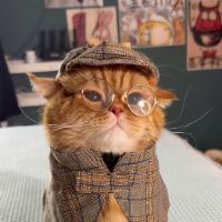 pawsitive_vibes