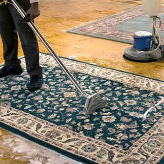 Shiy Carpets